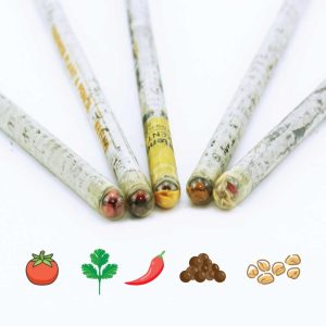 Plant A Pencil Kit - Image 2