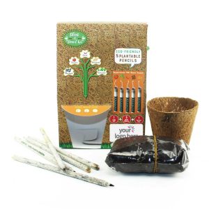 Plant A Pencil Kit - Image 1