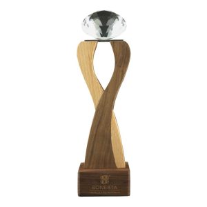 Wooden Crystal Trophy - Image 2