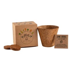 Plantable Kit with GHAF Seeds in Kraft Box - Image 1